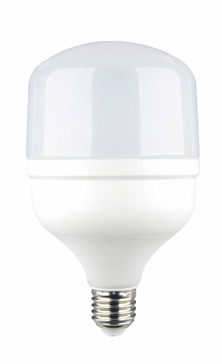 Bec LED E27 T100 30 W