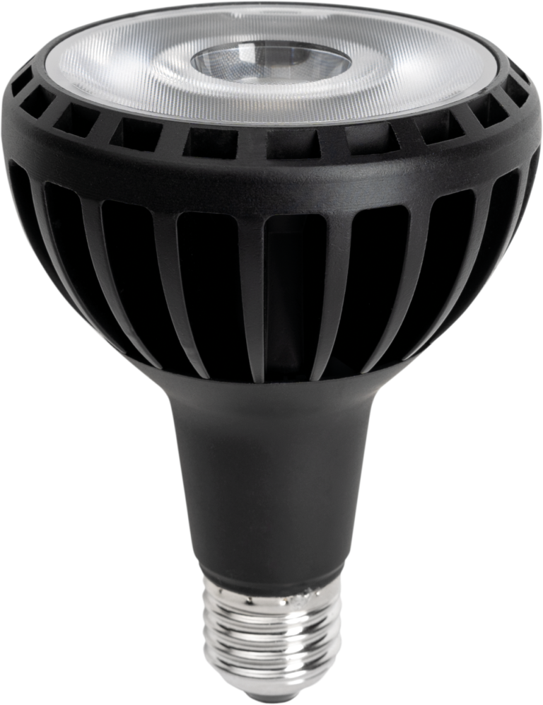 Bec LED PAR30 cu soclu E27